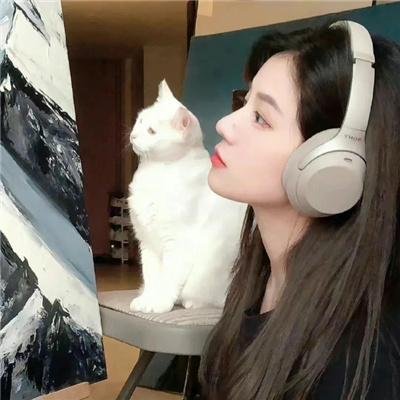 花牌情缘 上之句